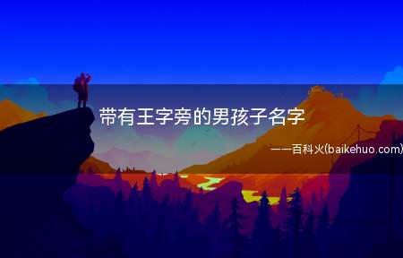 带有王字旁的男孩子名字(带有王字旁的男孩子名字大全)