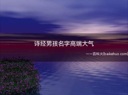 诗经男孩名字高端大气(有哪些出自诗经高端大气的男孩名字)