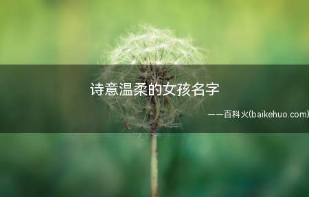 诗意温柔的女孩名字(诗意温柔的女孩名字有哪些一起看看吧!)