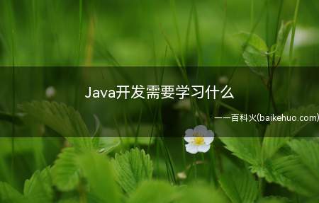 Java开发需要学习什么