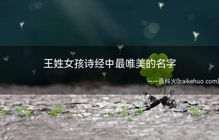 王姓女孩诗经中最唯美的名字(王姓女孩诗经中最唯美的名字推荐)