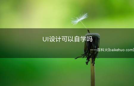 UI设计可以自学吗(UI设计可以不可以自学)