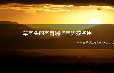 草字头的字有哪些字男孩名用(适合男孩起名用的草字头的字有哪些)