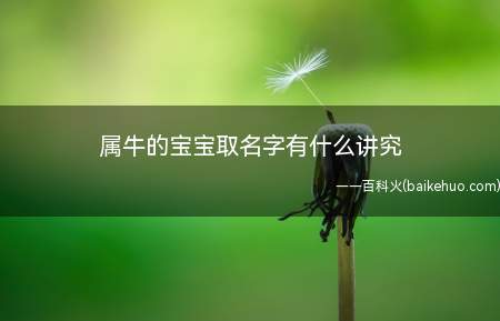 属牛的宝宝取名字有什么讲究