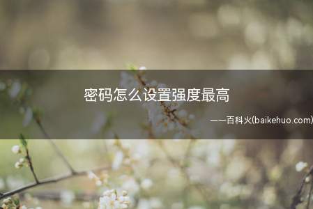 密码怎么设置强度最高