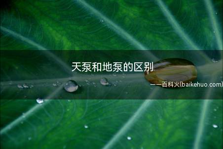 天泵和地泵的区别(天泵和地泵的区别:移动能力不同)