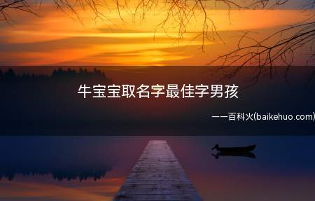 牛宝宝取名字最佳字男孩(牛年男孩取名的最佳字有哪些)