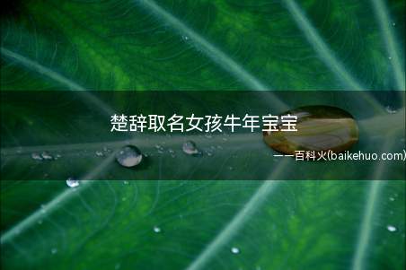 楚辞取名女孩牛年宝宝(楚辞取名女孩牛年宝宝取名方法)