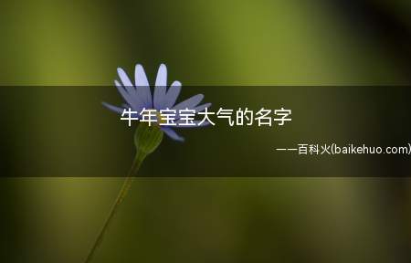 牛年宝宝大气的名字(牛年宝宝大气的名字有哪些)