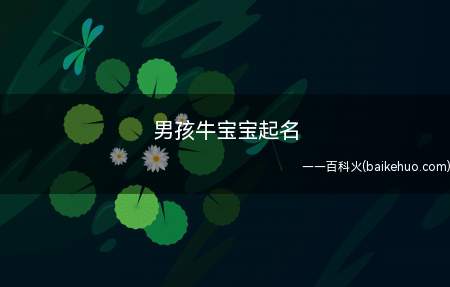男孩牛宝宝起名(适合男牛宝宝取的名字有哪些)