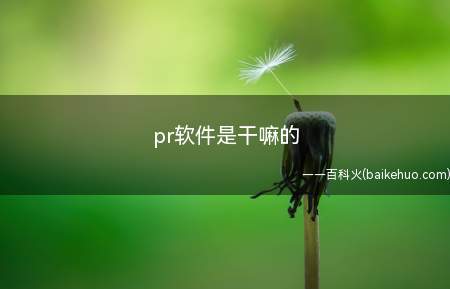 pr软件是干嘛的(Adobe Premiere)