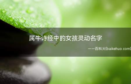 属牛诗经中的女孩灵动名字(属牛的女孩如何在诗经中选取灵动的名字)