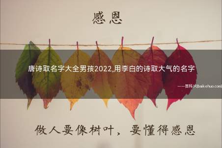 唐诗取名字大全男孩2022,用李白的诗取大气的名字