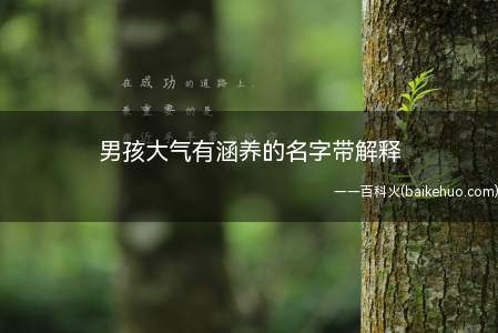 男孩大气有涵养的名字带解释(2022年男孩大气有涵养的名字带解释)