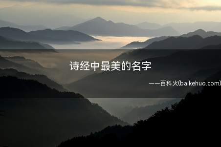 诗经中最美的名字(诗经中最美的名字之网友问答)