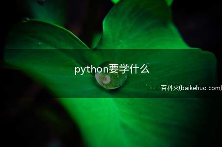 python要学什么
