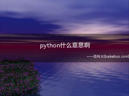 python什么意思啊(python什么意思)