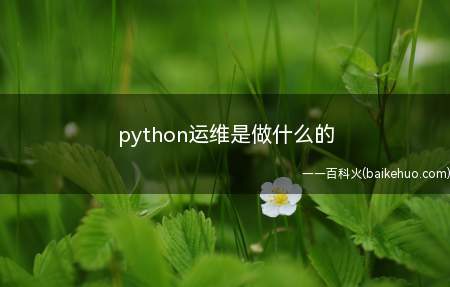 python运维是做什么的