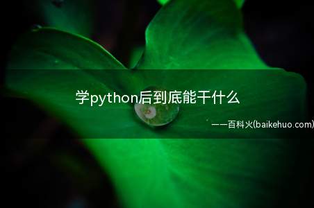 学python后到底能干什么