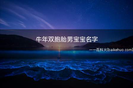 牛年双胞胎男宝宝名字(好听的牛年双胞胎男宝宝名字有哪些)