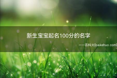 新生宝宝起名100分的名字（新生宝宝起名100分的名字之网友问答）