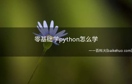 零基础学python怎么学