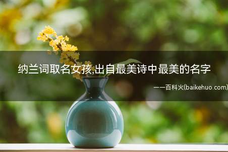 纳兰词取名女孩,出自最美诗中最美的名字(如何借助纳兰词来为女孩取名)