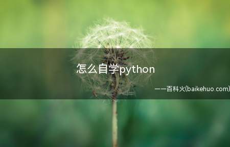 怎么自学python