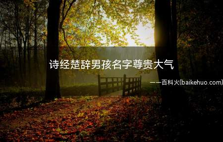诗经楚辞男孩名字尊贵大气(诗经楚辞中尊贵大气的男孩名字)