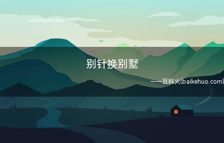 别针换别墅是什么梗(别针换别墅的真实故事介绍)