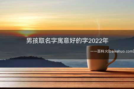 男孩取名字寓意好的字2022年(2022年男孩取名字寓意好的字有哪些)
