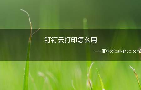 钉钉云打印怎么用(钉钉云打印怎么用电脑)