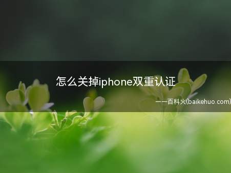 怎么关掉iphone双重认证(苹果手机关闭双重认证的方法)