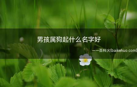 男孩属狗起什么名字好