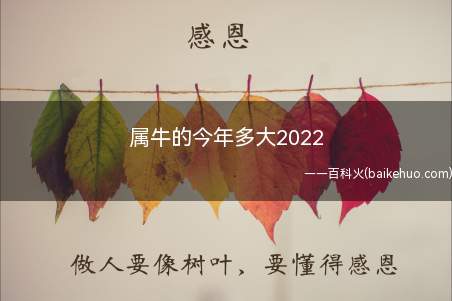 属牛的今年多大2022