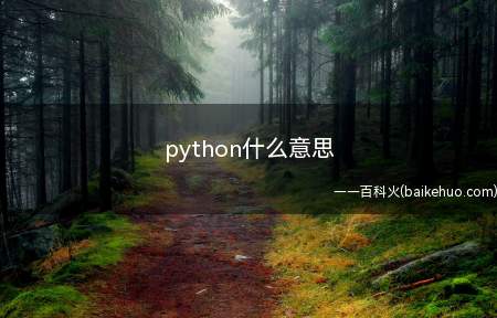 python什么意思