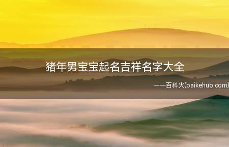 猪年男宝宝起名吉祥名字大全