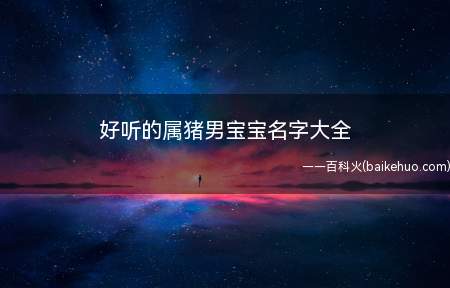 好听的属猪男宝宝名字大全