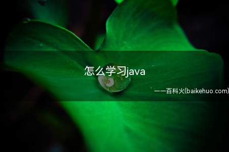 怎么学习java（怎么学习java让我们一起了解一下吧）