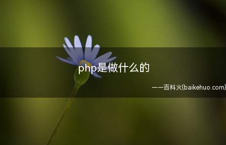 php是做什么的(php是做什么的让我们一起了解一下吧!)