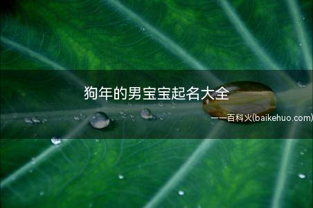 狗年的男宝宝起名大全(狗年的男宝宝起名大全有什么)