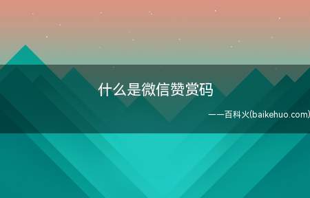 什么是微信赞赏码(什么是微信赞赏码苹果手机产品型号:iPhone 11系统)