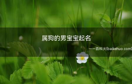 属狗的男宝宝起名(属狗的男宝宝起名有什么)