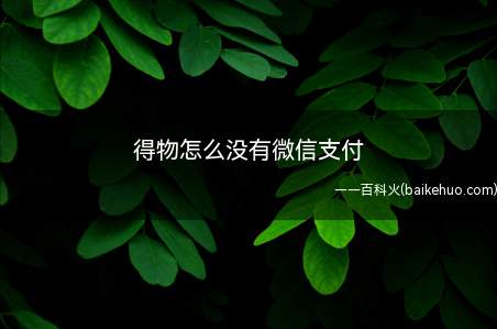 得物怎么没有微信支付