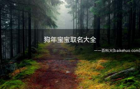 狗年宝宝取名大全(狗年宝宝取名大全有什么)