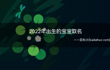 2022年出生的宝宝取名(2022年出生的宝宝的名字大全)