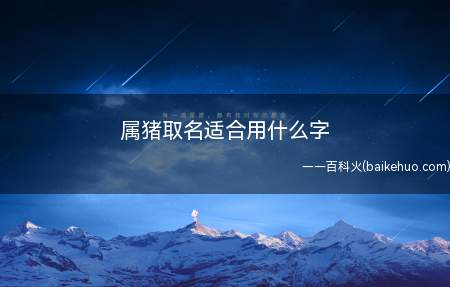 属猪取名适合用什么字(猪年出生的宝宝取名时适用的字有哪些)