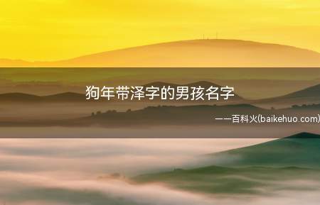 狗年带泽字的男孩名字(狗年带泽字的男孩名字有哪些)