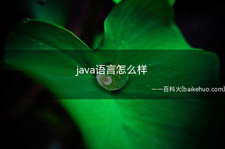java语言怎么样(java语言怎么样一起来了解一下吧)