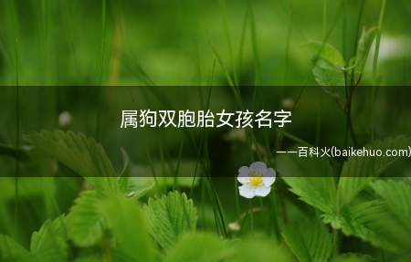 属狗双胞胎女孩名字(属狗双胞胎女孩名字有哪些)